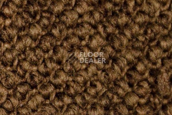 Ковролин Carpet Concept Eco Cut 60276 фото 1 | FLOORDEALER