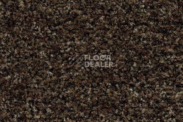 Грязезащитные покрытия Forbo Coral в плитке 5774 biscotti brown фото 1 | FLOORDEALER