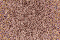 Flotex Colour Penang 50*50 t 382016 Penang Coral фото 3 | FLOORDEALER