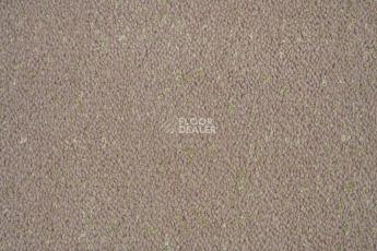 Innova Галактика Бежевый Контраст фото 2 | FLOORDEALER