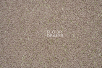 Innova Галактика Бежевый Контраст фото 2 | FLOORDEALER