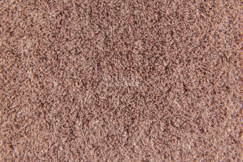 Flotex Colour Penang 50*50 t 382016 Penang Coral фото 3 | FLOORDEALER