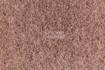Forbo Flotex Colour Penang 50*50 t 382016 Penang Coral фото 3 | FLOORDEALER