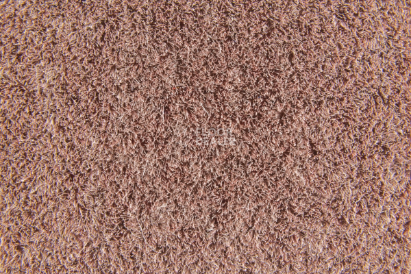 Flotex Colour Penang 50*50 t 382016 Penang Coral фото 3 | FLOORDEALER