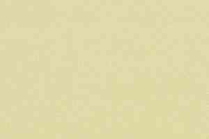 Линолеум Forbo Sarlon Colour 15dB 4808T4315 soft pistache stardust фото  | FLOORDEALER