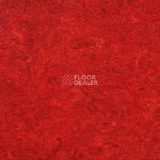 Линолеум Marmorette DLW 2.5mm 121-018 фото 1 | FLOORDEALER