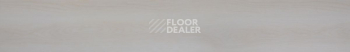 Evofloor Optima Click 4.2мм Дуб Сишел фото 2 | FLOORDEALER