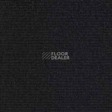 Carpet Concept Eco 1 6601 фото 1 | FLOORDEALER