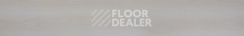 Evofloor Optima Click 4.2мм Дуб Сишел фото 2 | FLOORDEALER