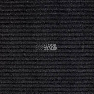 Ковролин Carpet Concept Eco 1 6601 фото 1 | FLOORDEALER