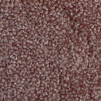 Serene Beaulieu of America 05 фото 1 | FLOORDEALER