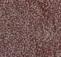 Ковролин Serene Beaulieu of America 05 фото 1 | FLOORDEALER