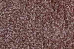 Ковролин Serene Beaulieu of America 05 фото  | FLOORDEALER