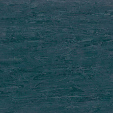 Линолеум Tarkett Horizon Marine 003 фото 1 | FLOORDEALER