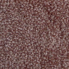 Ковролин Serene Beaulieu of America 05 фото 1 | FLOORDEALER