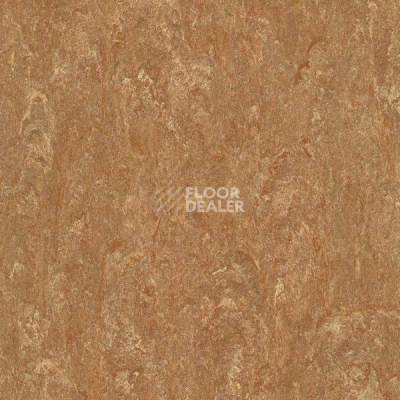 Линолеум Marmorette Acoustic DLW 121-140 фото 1 | FLOORDEALER