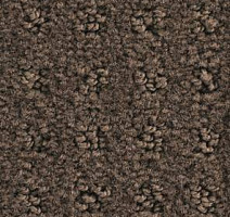 Ковролин Balsan Patio Patio 780 фото 1 | FLOORDEALER