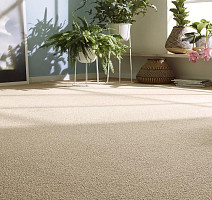 Vorwerk Essential 1008 Vorwerk 7g04 фото 2 | FLOORDEALER