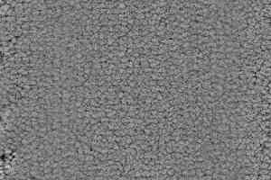 Ковролин Balsan Grand Hotel Chambord 920 фото  | FLOORDEALER