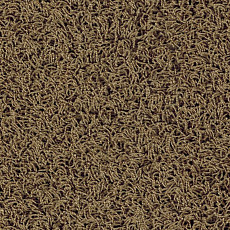 Ковролин Lano Comtessa 260 фото 1 | FLOORDEALER