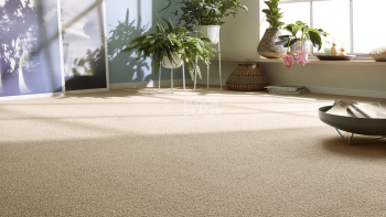 Vorwerk Essential 1008 Vorwerk 7g04 фото 2 | FLOORDEALER