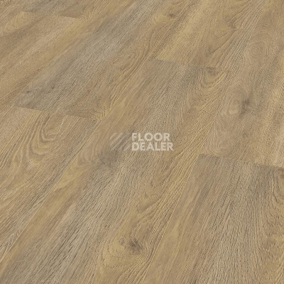 Ламинат Kronotex Exquisit Plus d6009 Дуб Эльба Природный фото 1 | FLOORDEALER