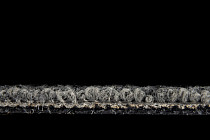 Escom Stitch 4605 фото 3 | FLOORDEALER