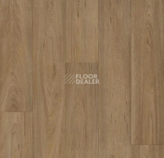 Линолеум Forbo Eternal Original 68972 country oak фото 1 | FLOORDEALER