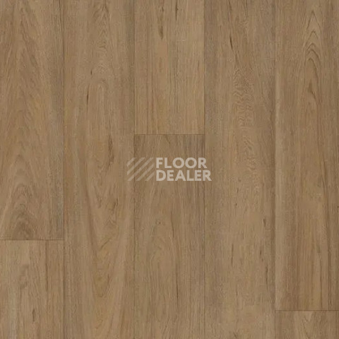 Линолеум Forbo Eternal Original 68972 country oak фото 1 | FLOORDEALER