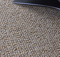 Зартекс Трек