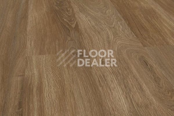 Виниловая плитка ПВХ THE FLOOR WOOD P6003 Calm Oak фото 1 | FLOORDEALER