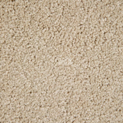 Haima Noble 69 фото 11 | FLOORDEALER