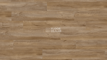 Кварцвиниловые полы Creation 70 Clic 0798_Cervino_Oak_Nature фото 1 | FLOORDEALER