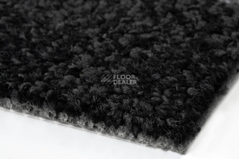 Balsan Take a Walk Rolls 990 фото 5 | FLOORDEALER