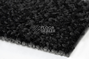 Balsan Take a Walk Rolls 990 фото 5 | FLOORDEALER