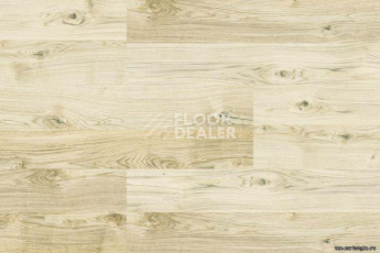 Wood OAK VIRGINIA WHITE фото 4 | FLOORDEALER