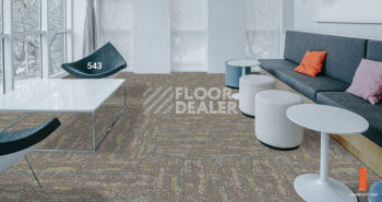 Standard Carpets LAX 543 фото 2 | FLOORDEALER