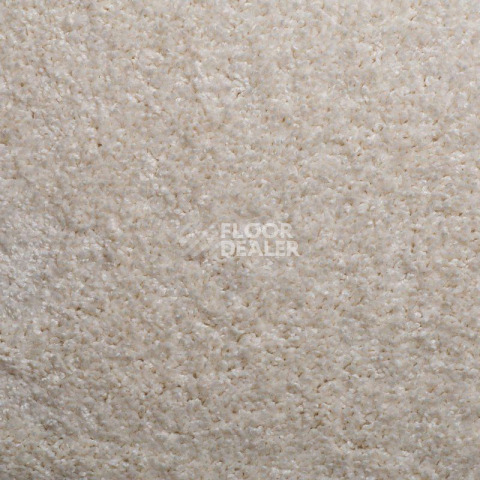 Ковролин Sintelon Harmony 00156 фото 1 | FLOORDEALER