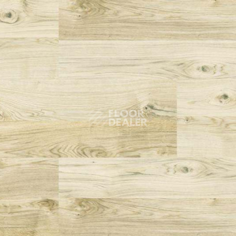 Wood OAK VIRGINIA WHITE фото 4 | FLOORDEALER