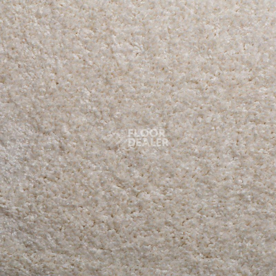 Ковролин Sintelon Harmony 00156 фото 1 | FLOORDEALER