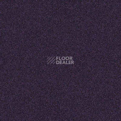 Ковровая плитка Interface Polichrome 7581 Lilac фото 1 | FLOORDEALER