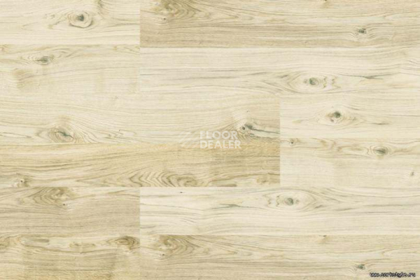 Corkstyle Wood OAK VIRGINIA WHITE фото 4 | FLOORDEALER