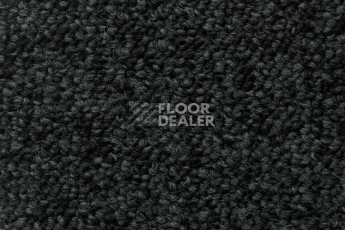 Forbo Tessera Create Space 1 1815 Hematite фото 3 | FLOORDEALER