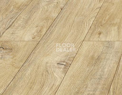 Ламинат Kronopol Platinium Akaba AQUA BLOCK 8mm Kronopol Platinium Akaba Aqua Block 24h Дуб Табита D3947 фото 3 | FLOORDEALER