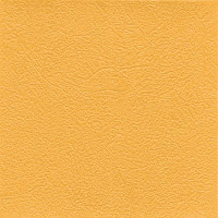 Линолеум Graboflex Gymfit 50 4000_630_3 фото 1 | FLOORDEALER