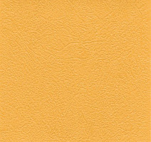 Линолеум Graboflex Gymfit 50 4000_630_3 фото 1 | FLOORDEALER