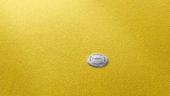 Ковролин Vorwerk Superior 1063 Vorwerk 2f43 фото 1 | FLOORDEALER