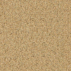 Ковровая плитка Forbo Sharepoint 1198 фото 1 | FLOORDEALER