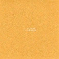 Линолеум Graboflex Gymfit 50 4000_630_3 фото 1 | FLOORDEALER