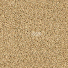 Ковровая плитка Forbo Sharepoint 1198 фото 1 | FLOORDEALER